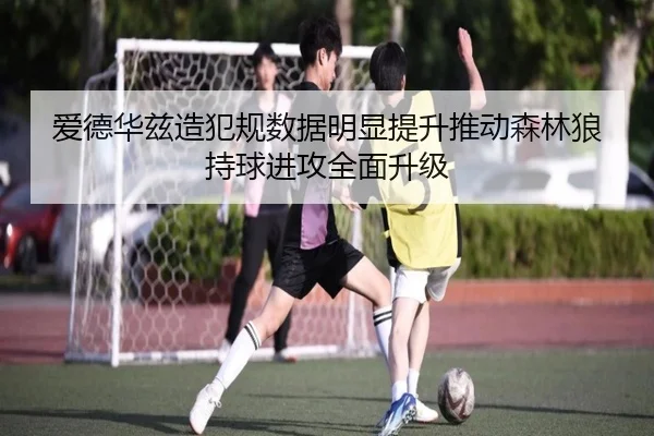 爱德华兹造犯规数据明显提升推动森林狼持球进攻全面升级