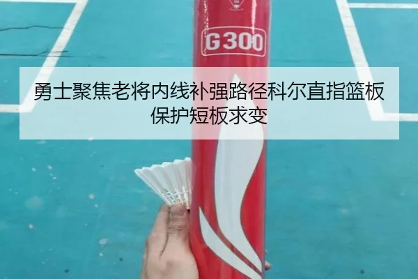 勇士聚焦老将内线补强路径科尔直指篮板保护短板求变